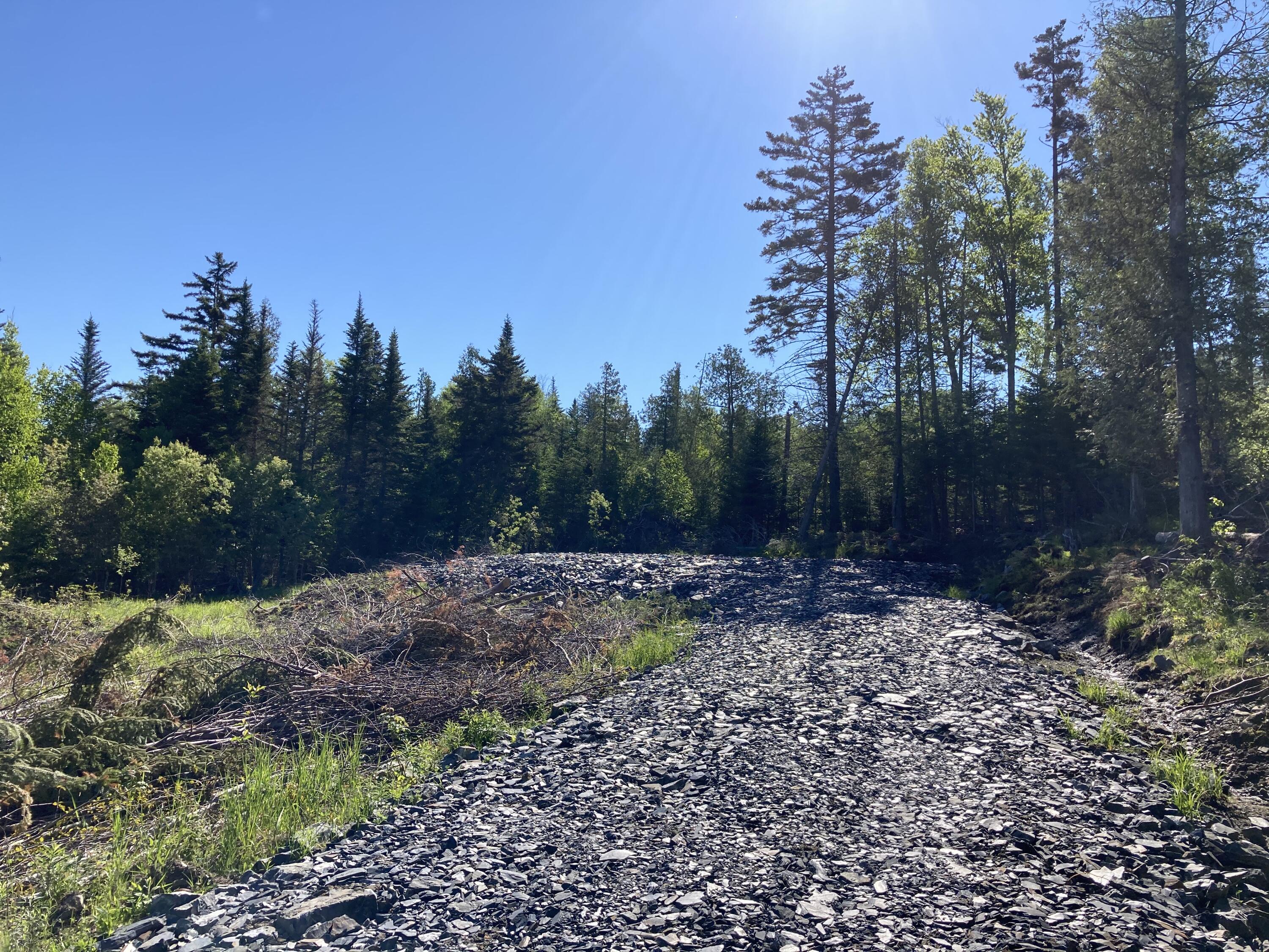 Lot 5 Spring Road Rangeley, ME 04970 - Photo 6 of 6 IMG_0917