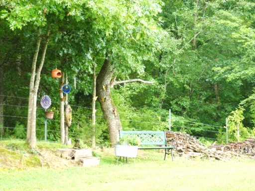 5405 Buell Chapel Road Morristown, TN 37813 - Photo 21 of 30 Additional Photo