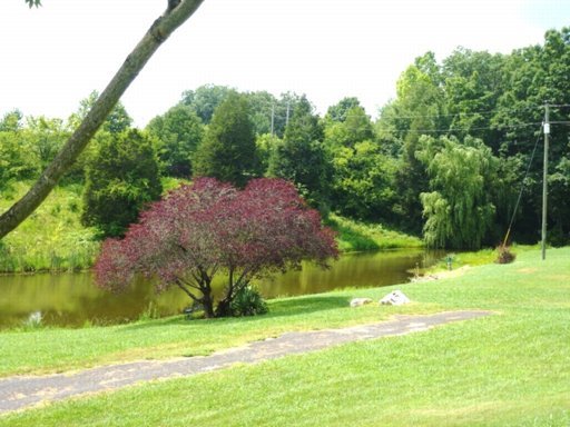 5405 Buell Chapel Road Morristown, TN 37813 - Photo 23 of 30 Additional Photo