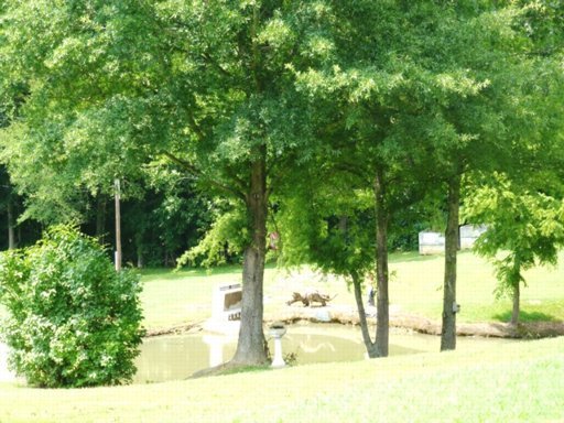 5405 Buell Chapel Road Morristown, TN 37813 - Photo 24 of 30 Additional Photo