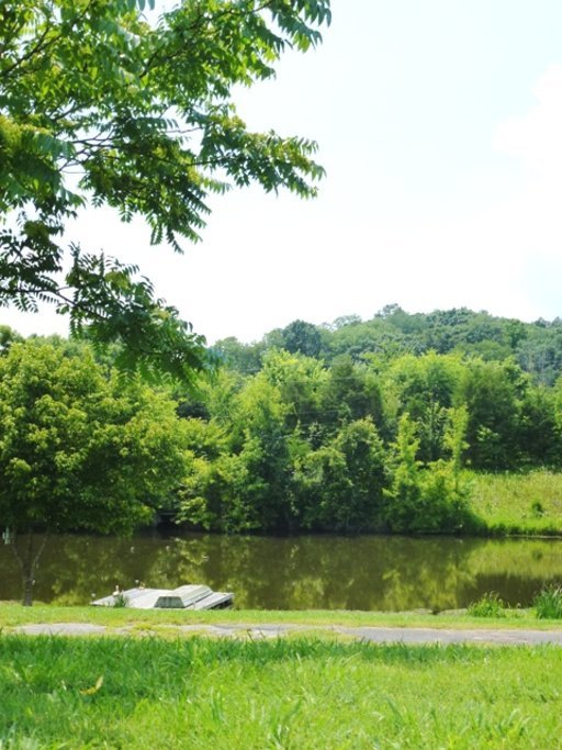 5405 Buell Chapel Road Morristown, TN 37813 - Photo 26 of 30 Additional Photo