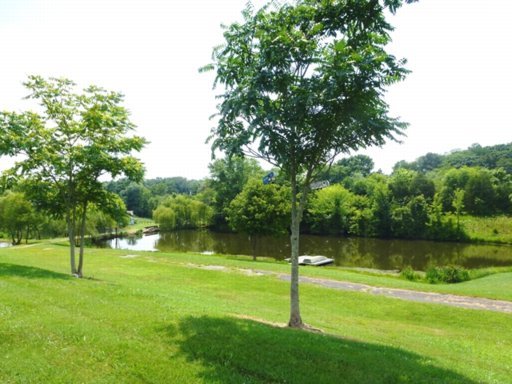 5405 Buell Chapel Road Morristown, TN 37813 - Photo 28 of 30 Additional Photo