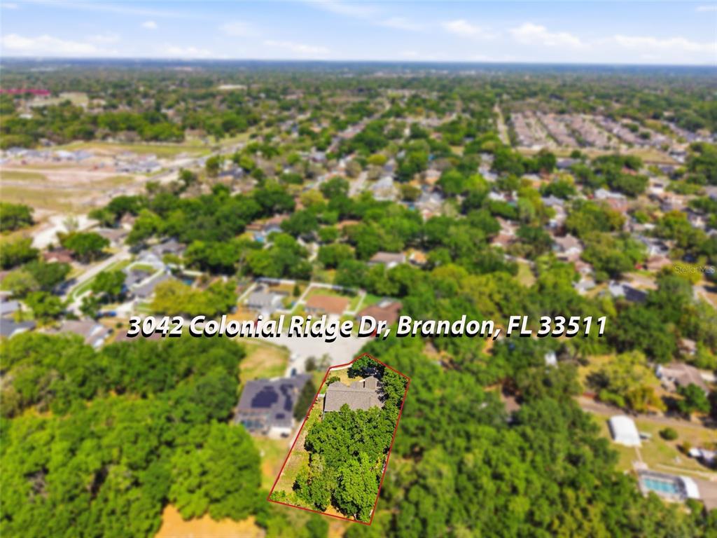 3042 Colonial Ridge Drive Brandon, FL 33511 - Photo 73 of 89