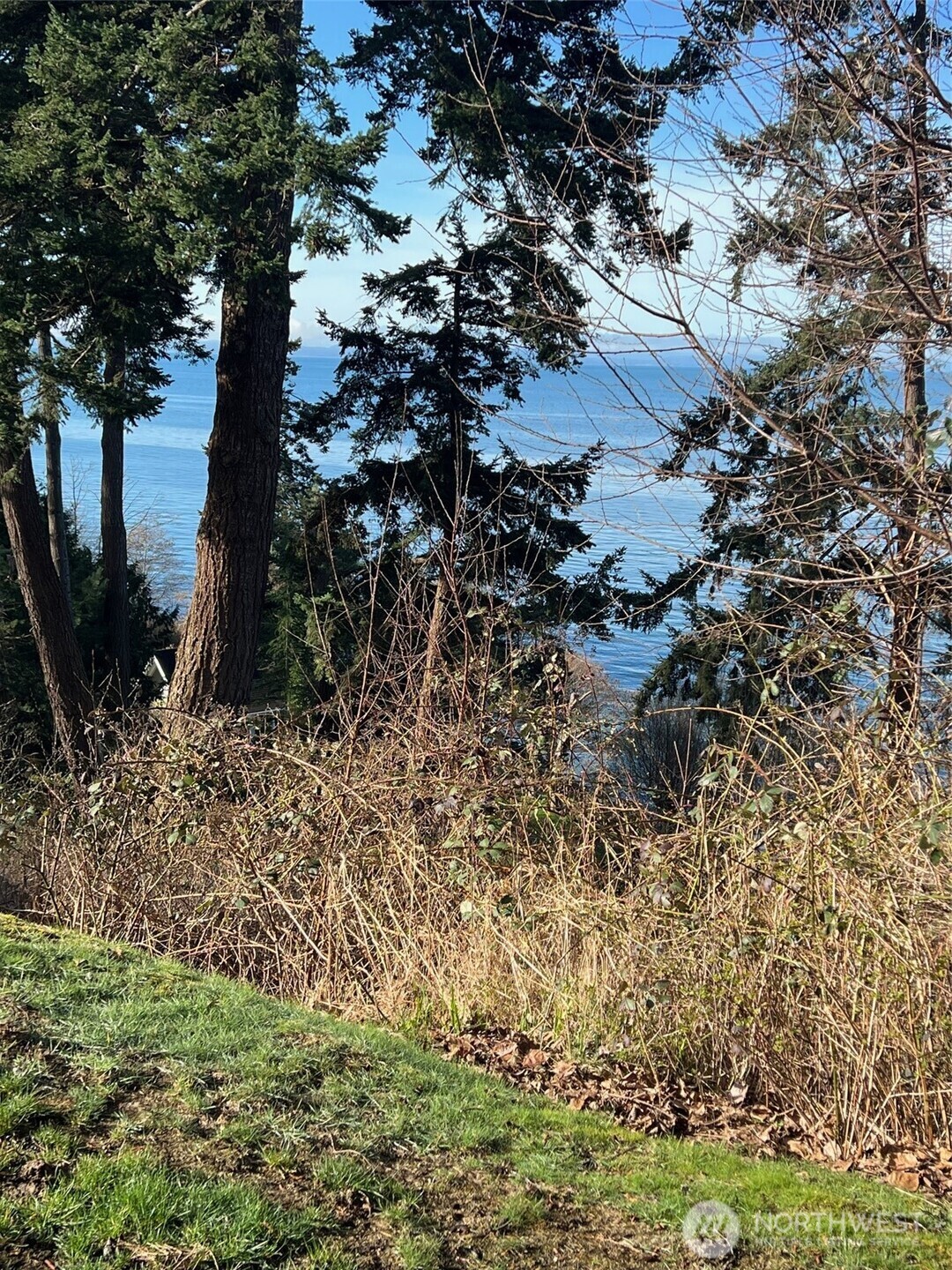211 Marine Drive Point Roberts, WA 98281 - Photo 5 of 13