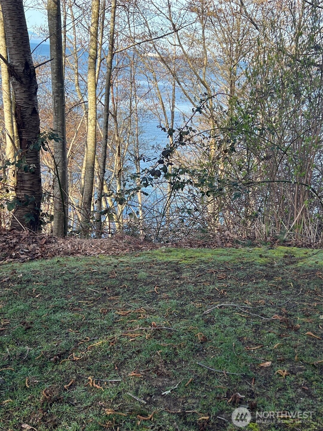 211 Marine Drive Point Roberts, WA 98281 - Photo 6 of 13 a view of a field with trees