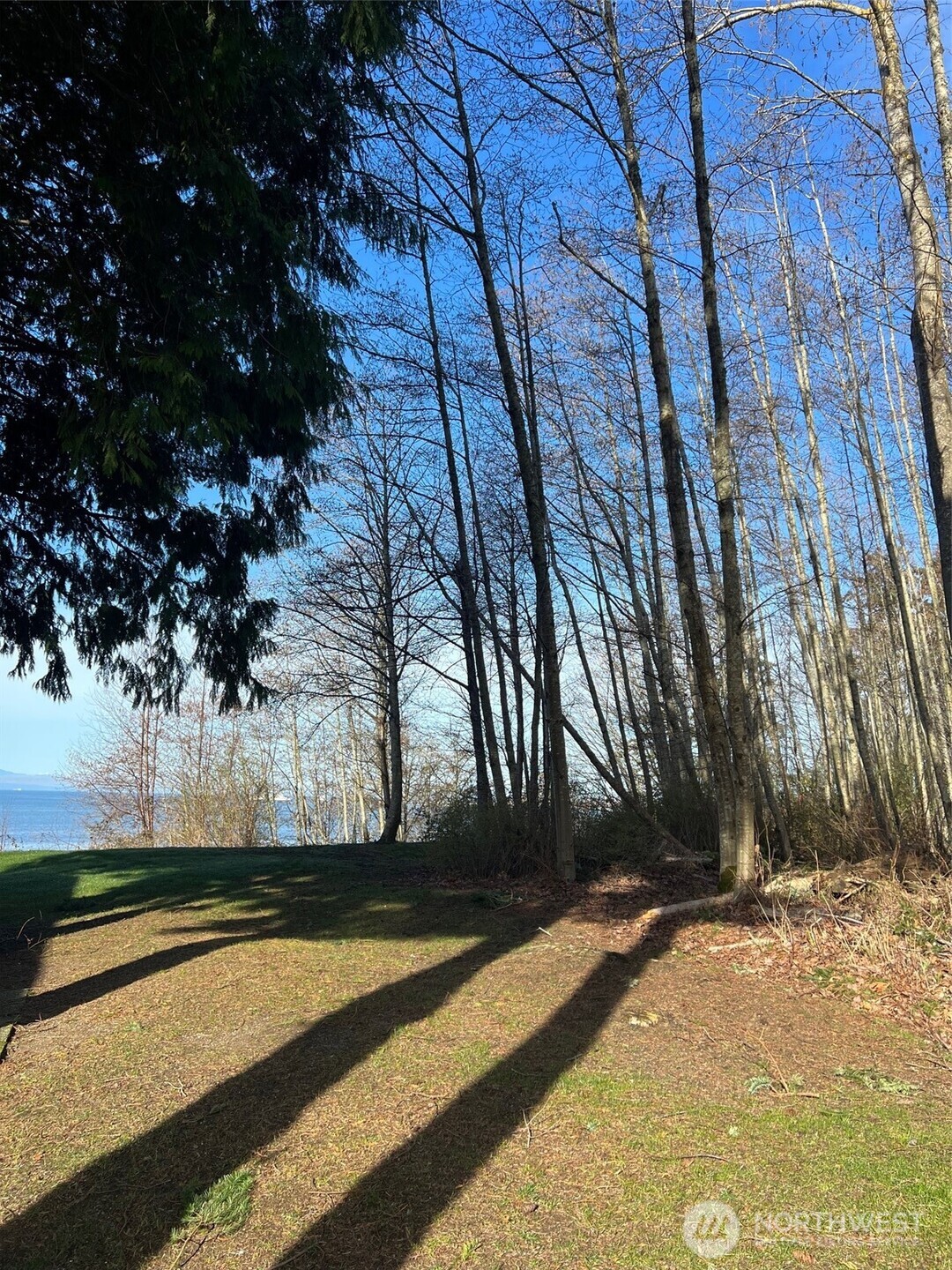 211 Marine Drive Point Roberts, WA 98281 - Photo 8 of 13 a view of backyard space