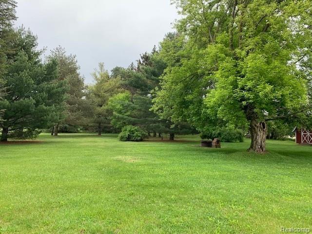 4321 Levalley Road Columbiaville, MI 48421 - Photo 29 of 32 IMG_1029.jpg