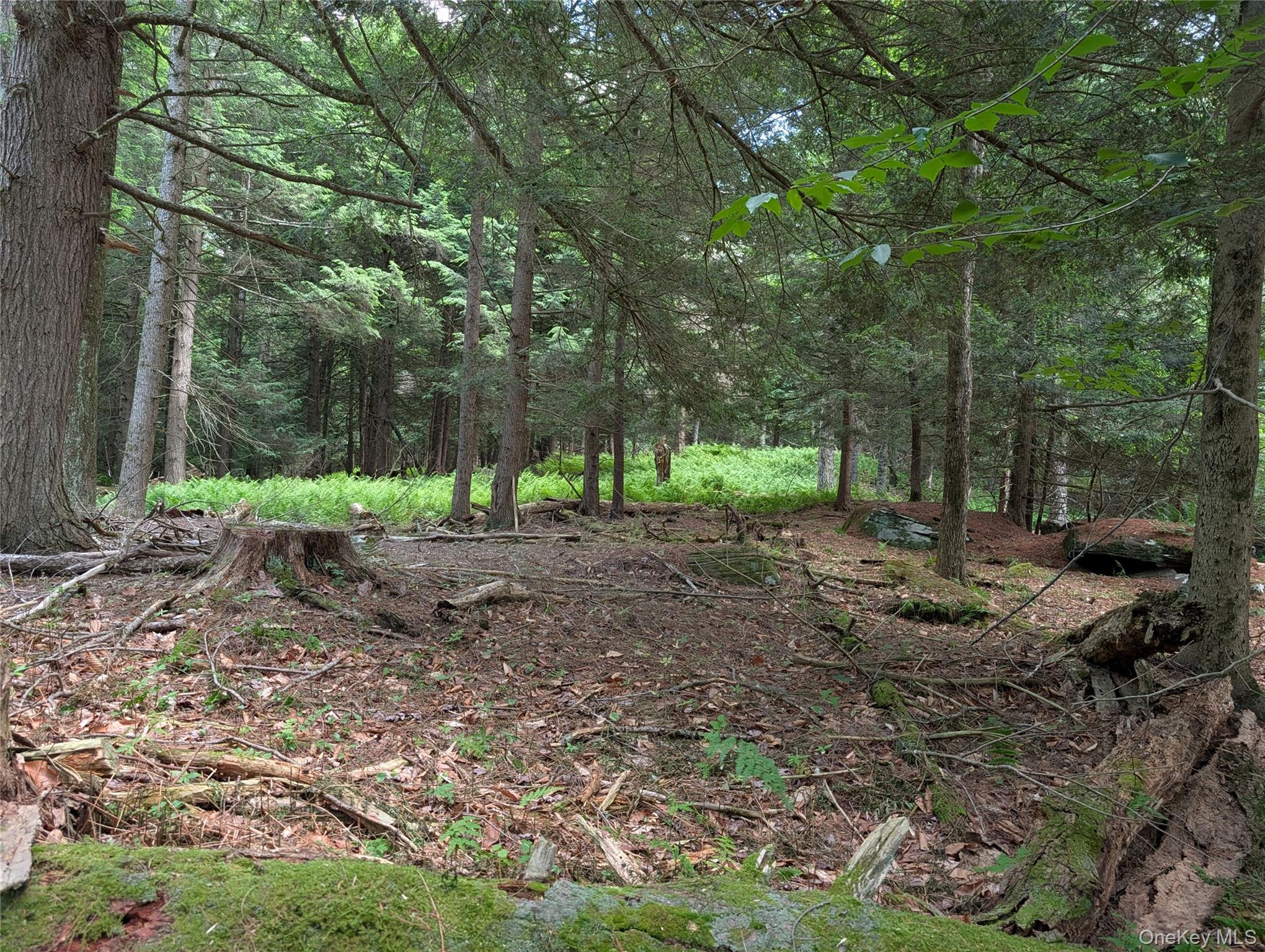 Ballard Road Bethel, NY 12720 - Photo 6 of 10 Partially cleared area