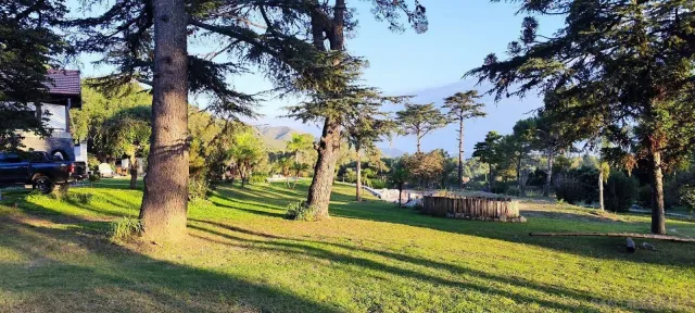 a view of house with a yard
