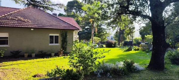 a view of a swimming pool with a garden and plants