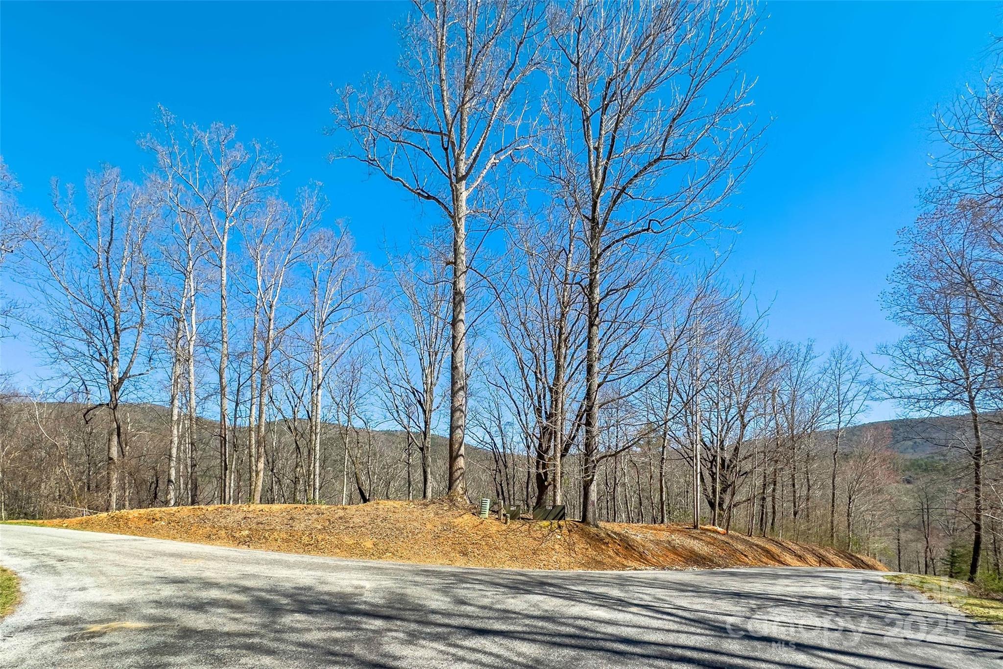 Lot#158 Hunnicut Mountain Road Marion, NC 28752 - Photo 1 of 20 a view of a backyard of the house