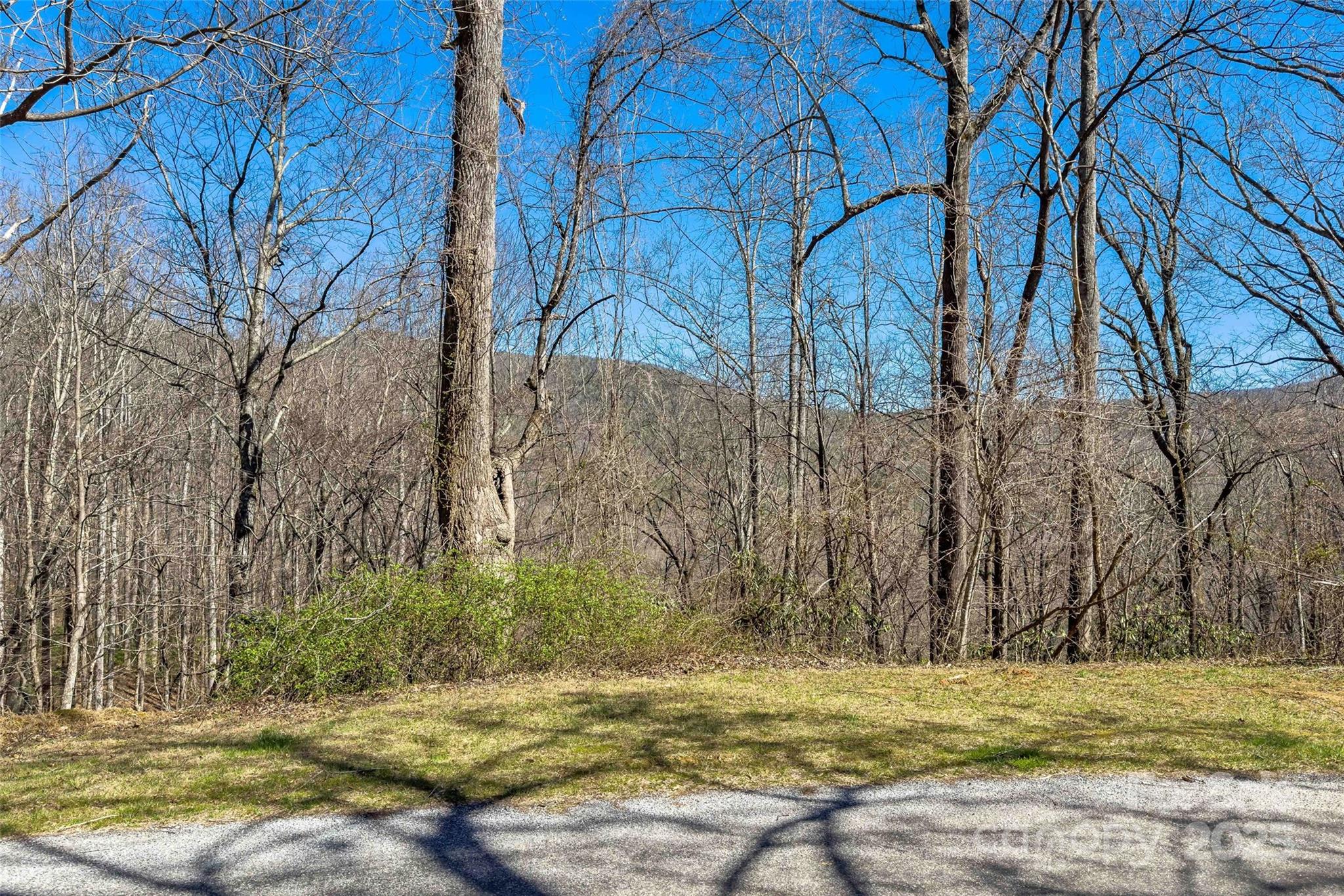 Lot#158 Hunnicut Mountain Road Marion, NC 28752 - Photo 4 of 20 a view of a backyard with large trees