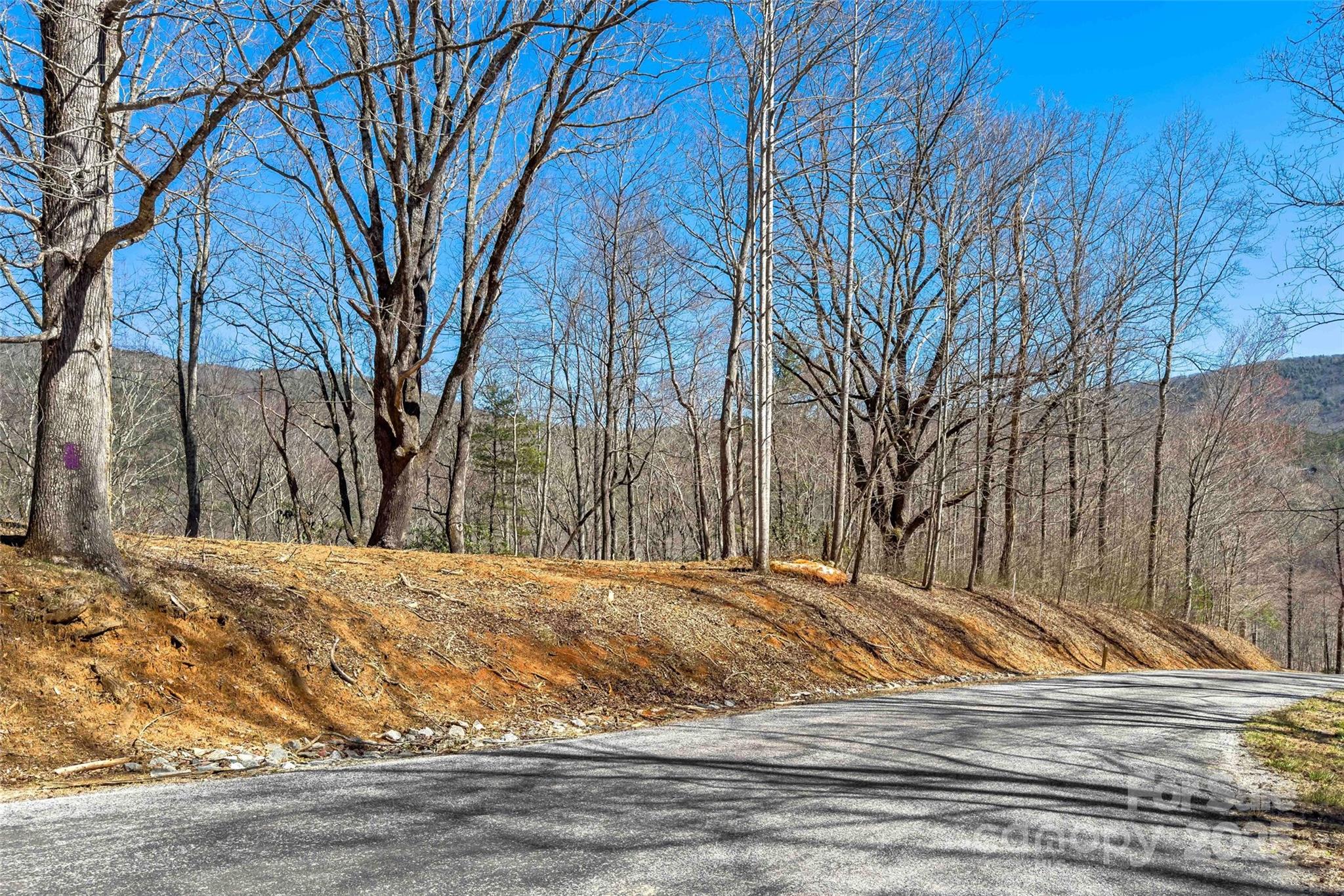 Lot#158 Hunnicut Mountain Road Marion, NC 28752 - Photo 6 of 20 a view of a backyard of the house