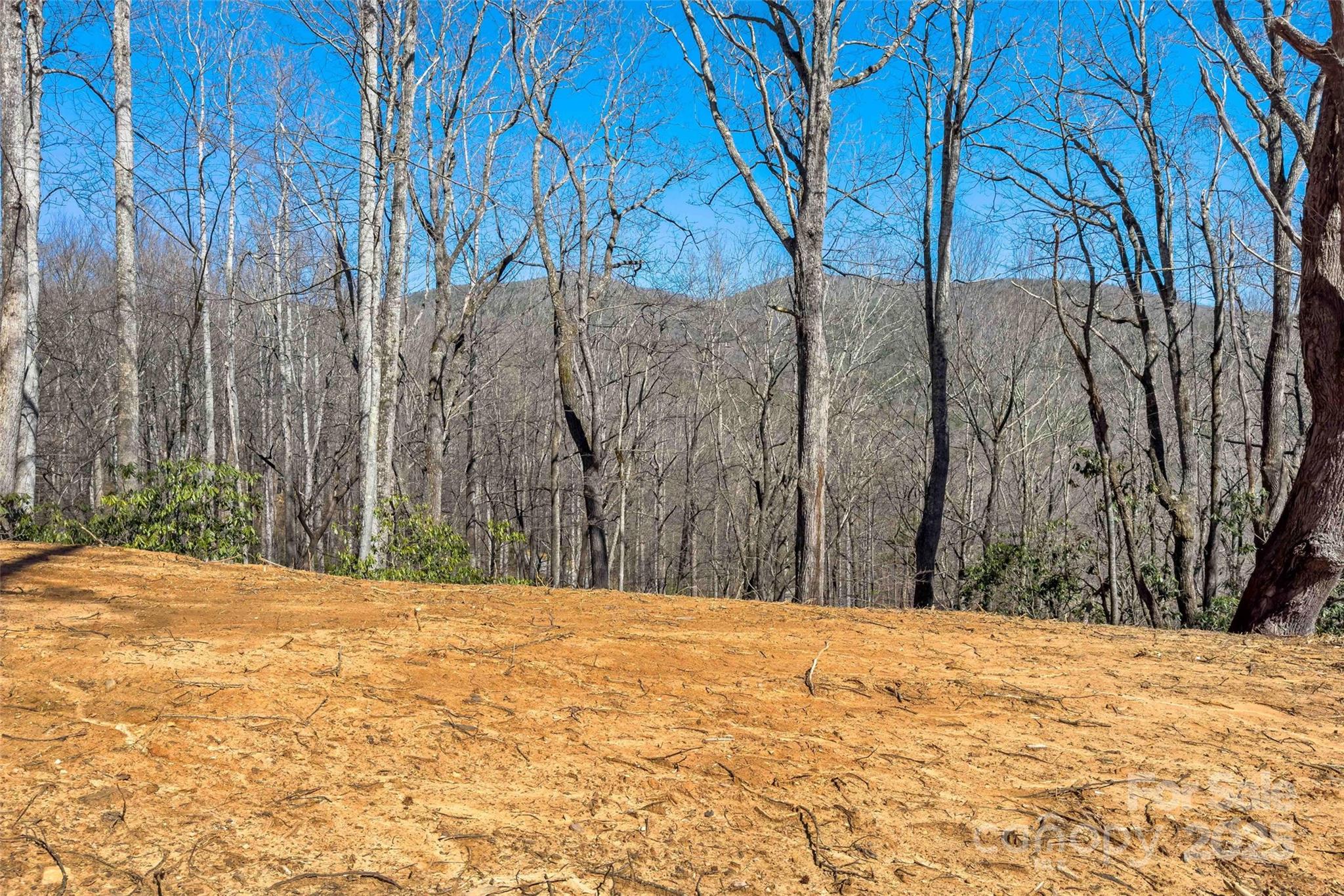 Lot#158 Hunnicut Mountain Road Marion, NC 28752 - Photo 7 of 20 a view of large trees with wooden fence