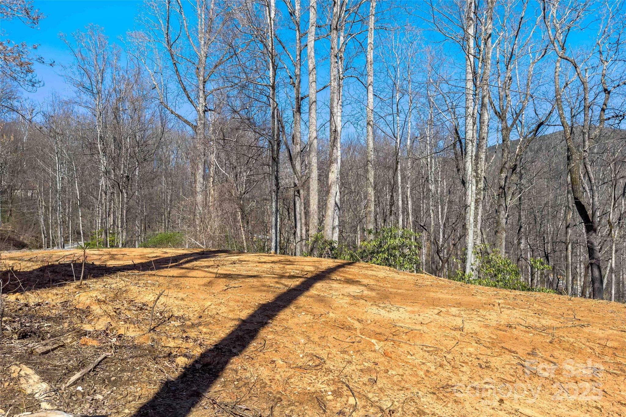 Lot#158 Hunnicut Mountain Road Marion, NC 28752 - Photo 8 of 20 a backyard of a house with a trees