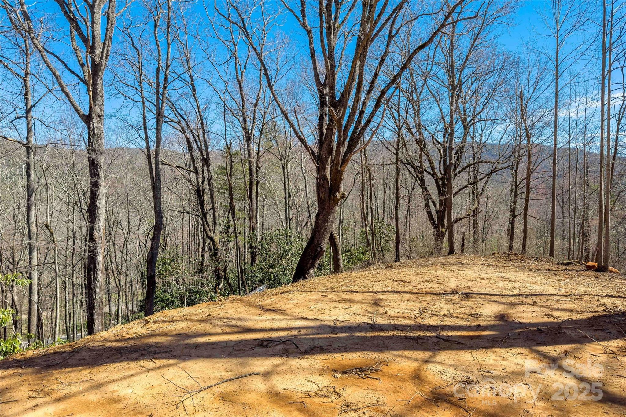 Lot#158 Hunnicut Mountain Road Marion, NC 28752 - Photo 9 of 20 a view of side of a house with a snow