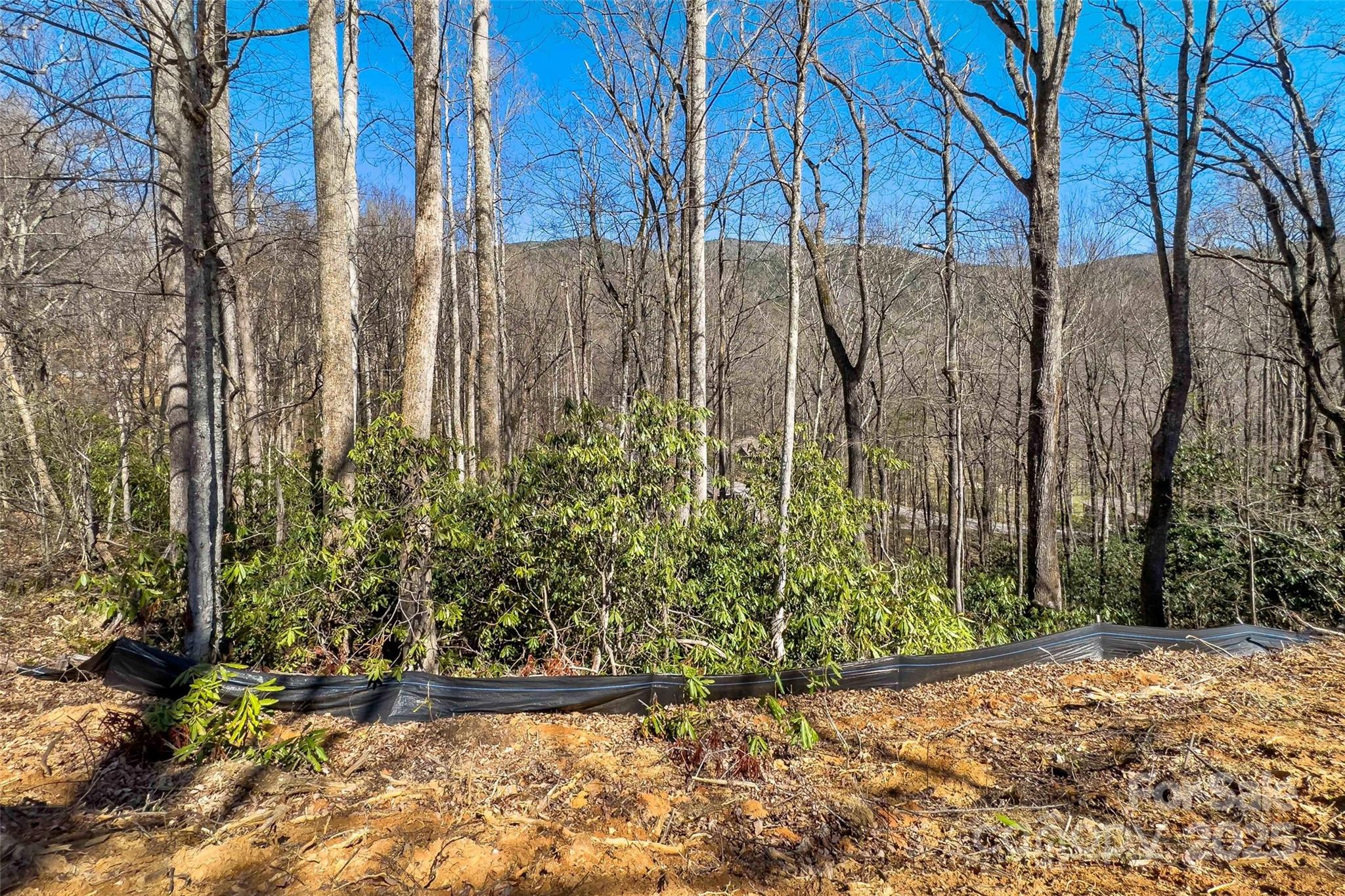 Lot#158 Hunnicut Mountain Road Marion, NC 28752 - Photo 10 of 20 a view of a yard with plants and trees