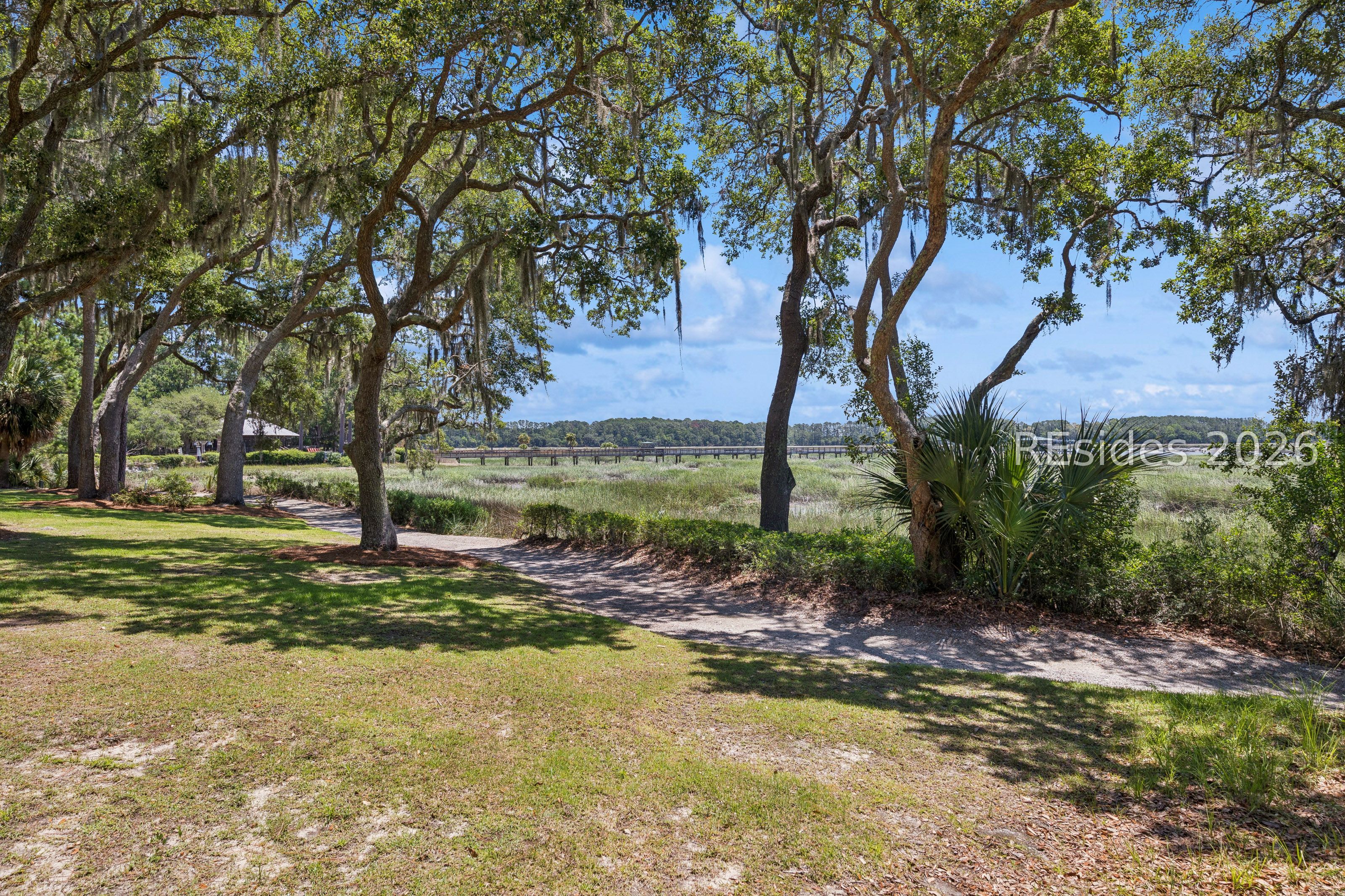 8 Pinckney View Circle Bluffton, SC 29909 - Photo 4 of 29