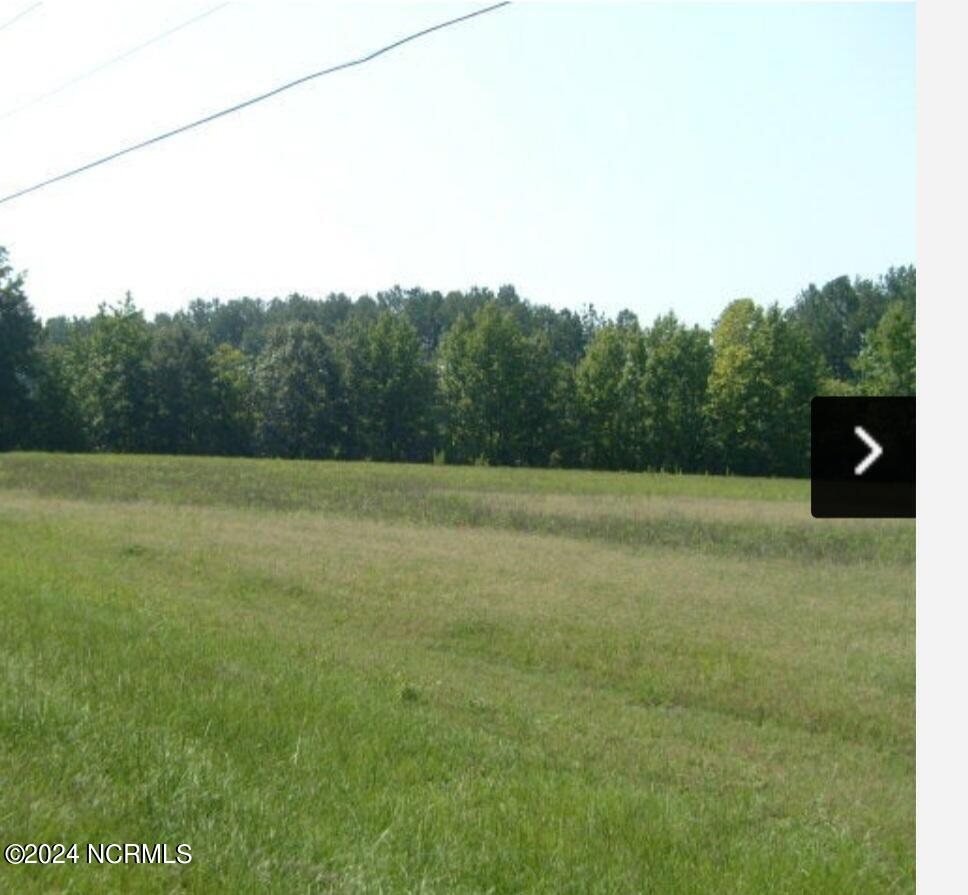 0 Nicodemus Mile Road Rocky Mount, NC 27804 - Photo 2 of 2 1000024489