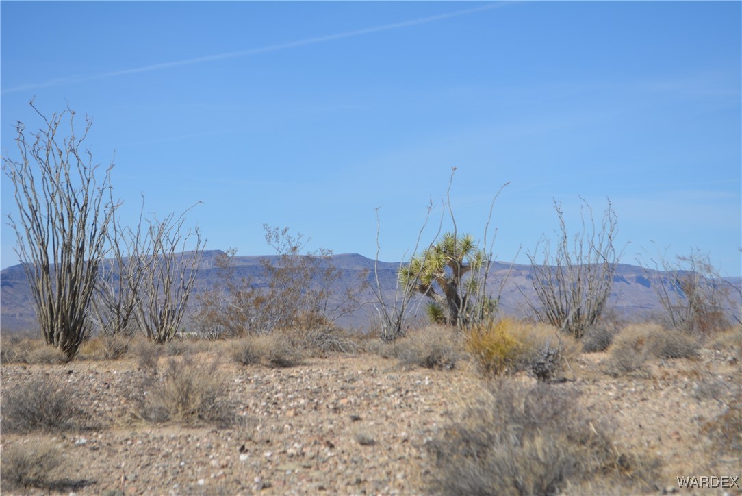 245-24-107 South Rainbow Road Yucca, AZ 86438 - Photo 59 of 91