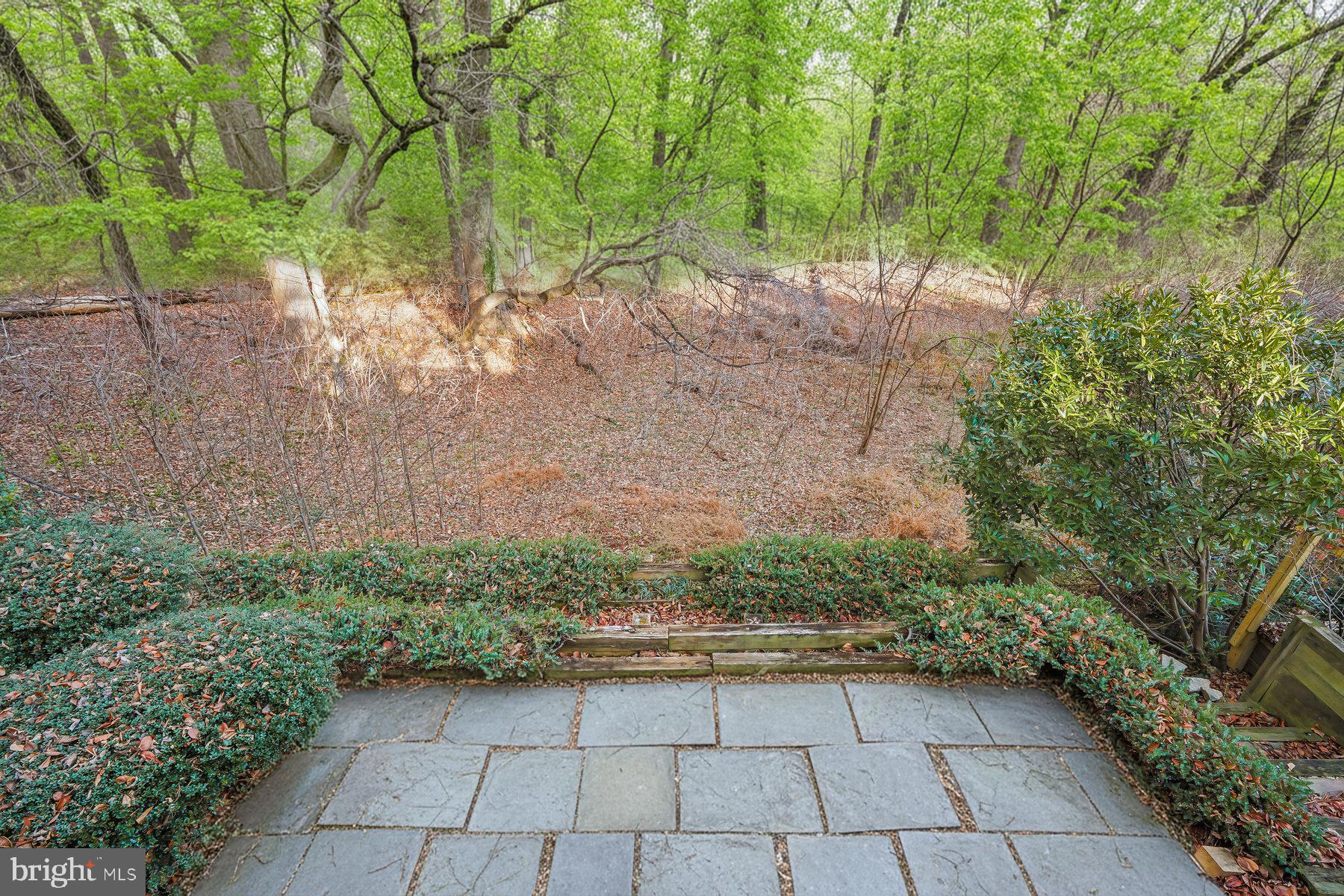 1727 Hoban Road Northwest Washington, DC 20007 - Photo 23 of 25 a view of backyard with large trees