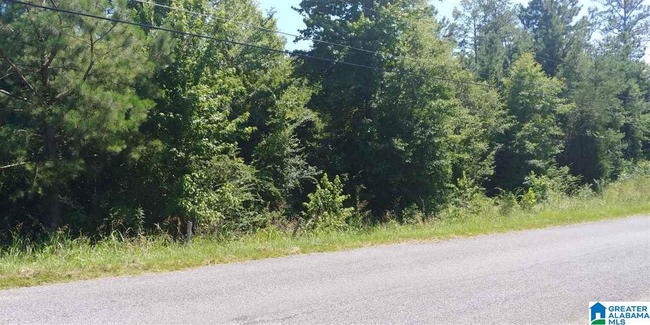 1 Old Coleman Road, Unit 8620 Sylacauga, AL 35150 - Photo 2 of 3