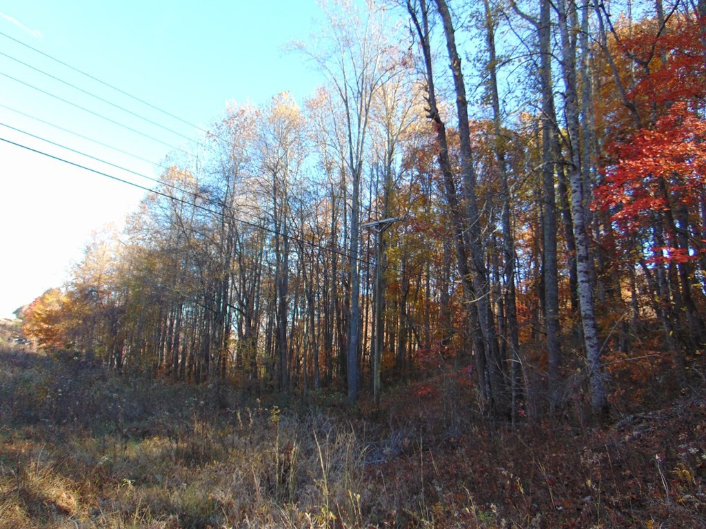 0 Raccoon Ridge Road Spring City, TN 37381 - Photo 58 of 70