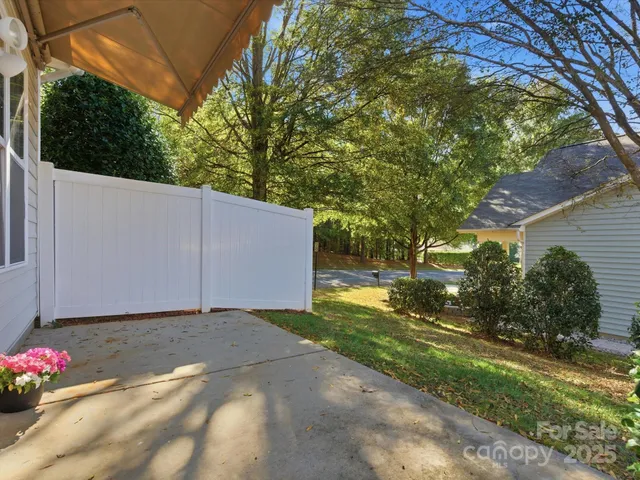 a view of a backyard with potted plants and large tree