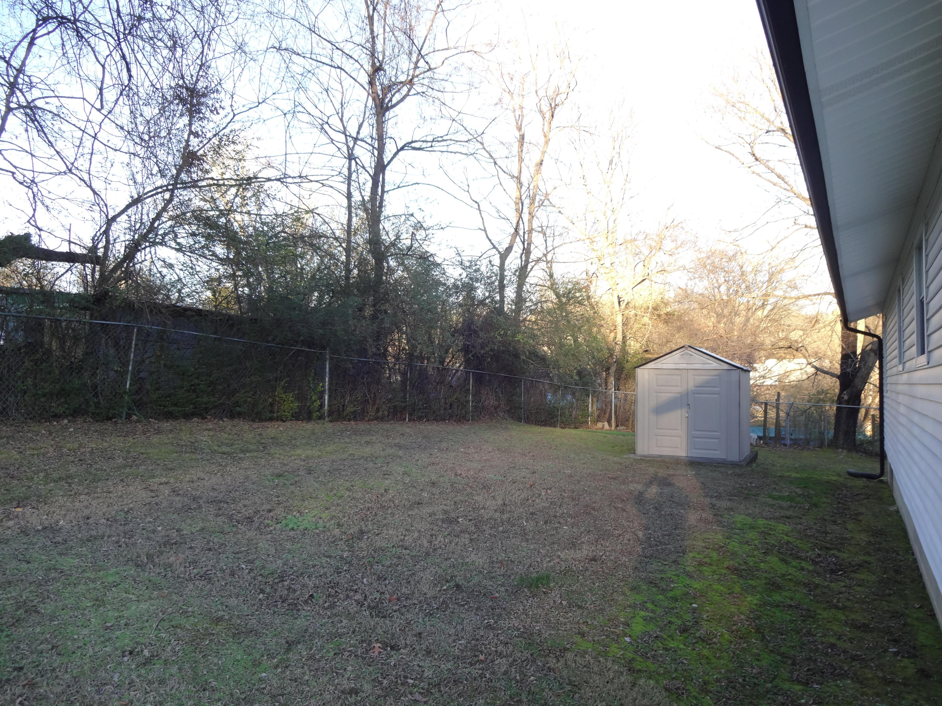 8909 Neubert Road Mascot, TN 37806 - Photo 12 of 17 Back yard