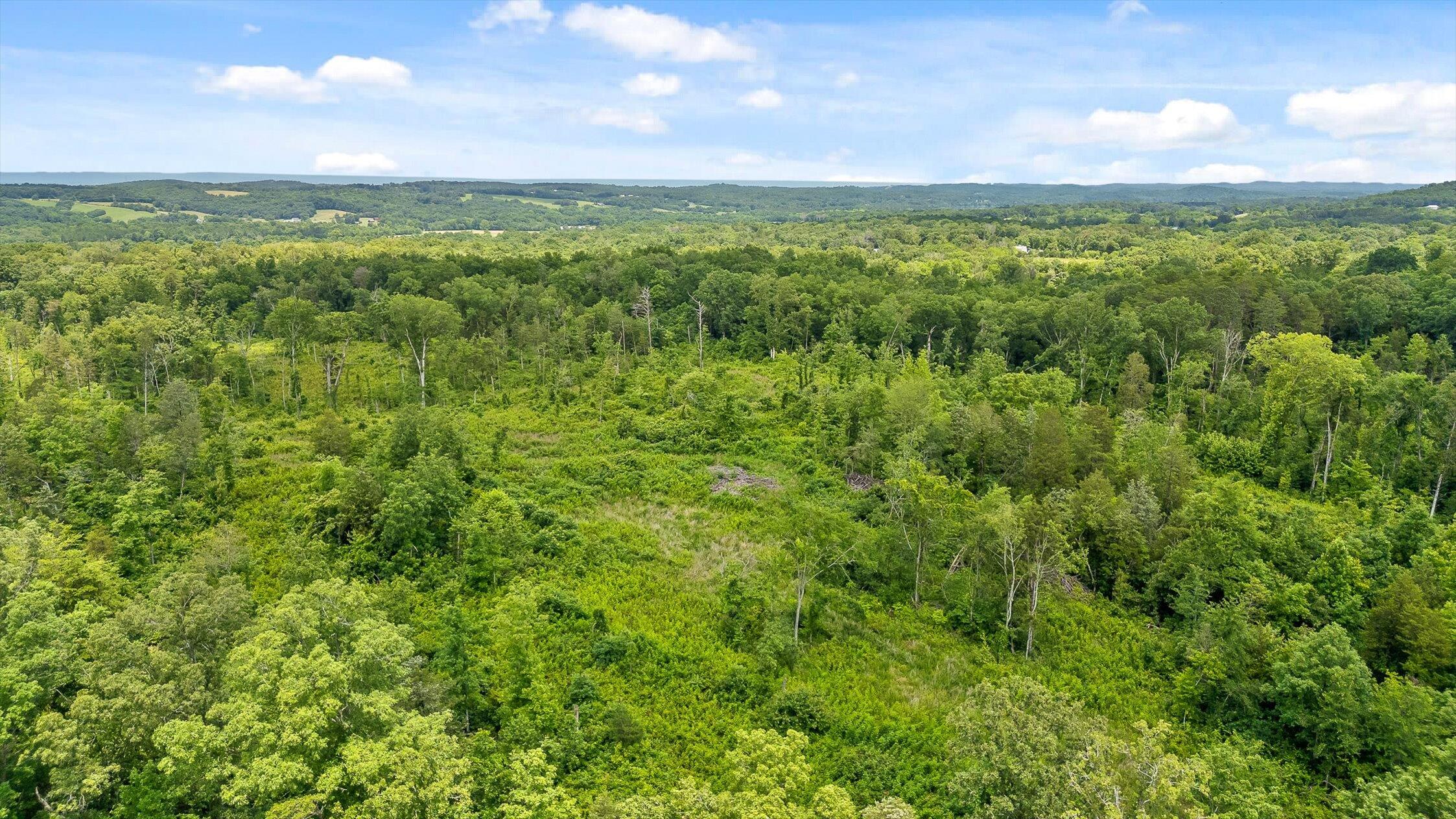 0 State Highway Georgetown, TN 37336 - Photo 11 of 18 06-TN-58-6