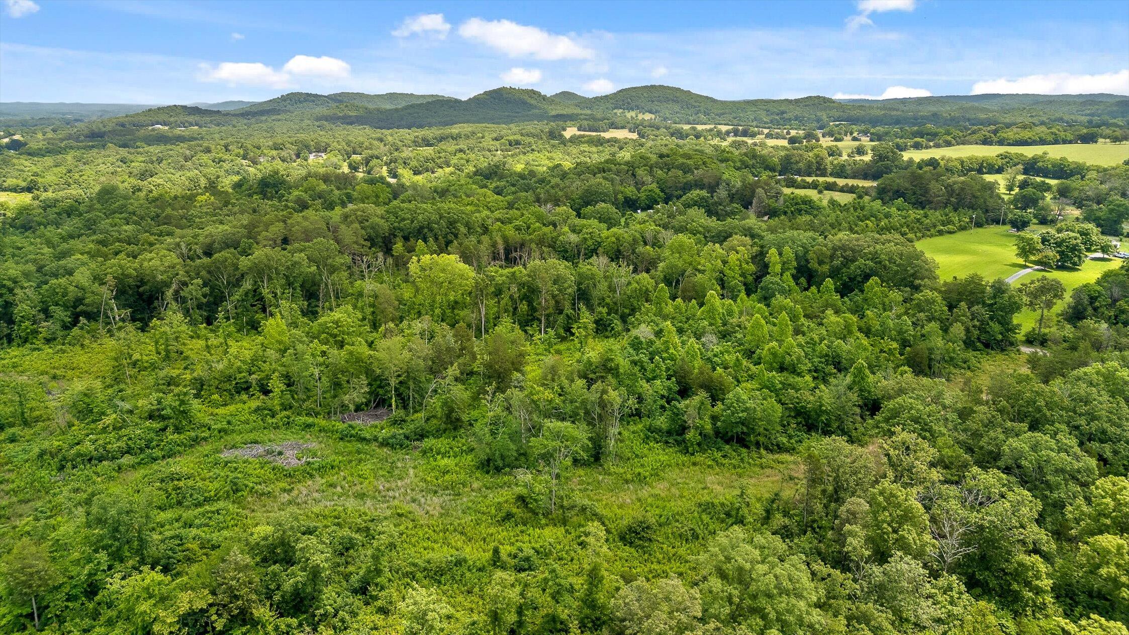 0 State Highway Georgetown, TN 37336 - Photo 12 of 18 07-TN-58-7