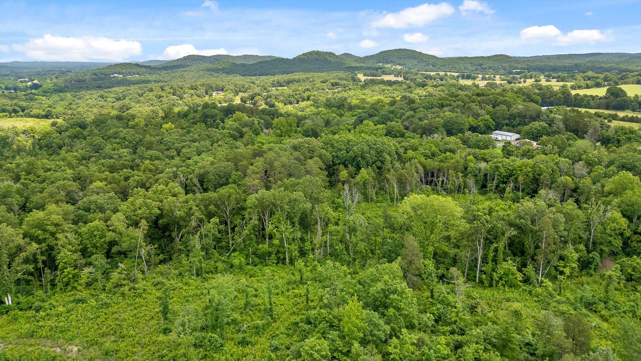 0 State Highway Georgetown, TN 37336 - Photo 14 of 18 09-TN-58-9