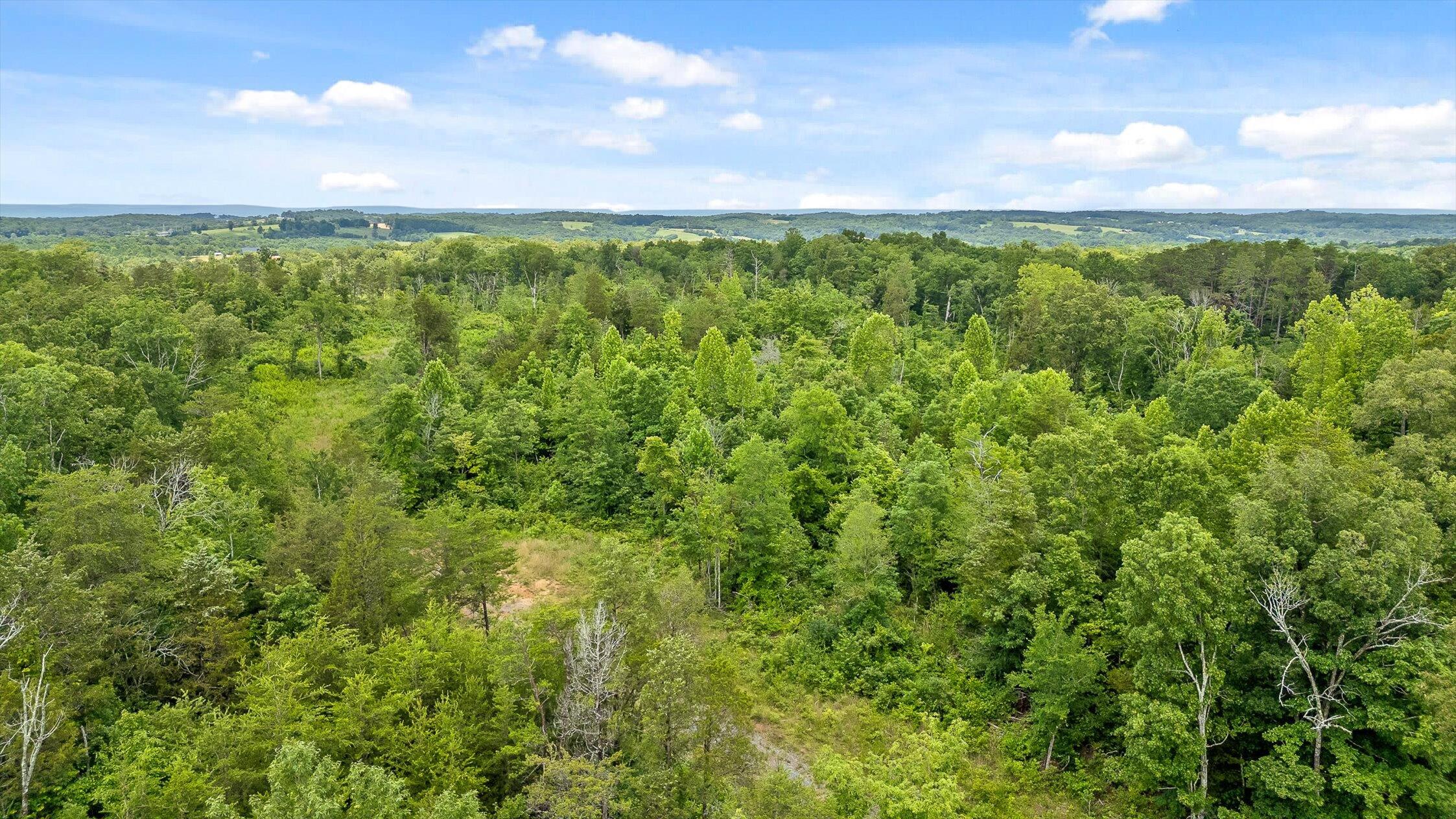 0 State Highway Georgetown, TN 37336 - Photo 5 of 18 16-TN-58-16