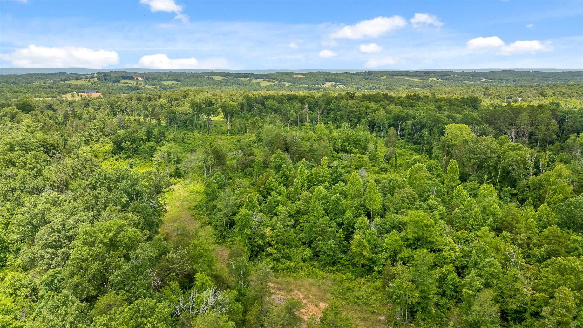 0 State Highway Georgetown, TN 37336 - Photo 9 of 18 04-TN-58-4