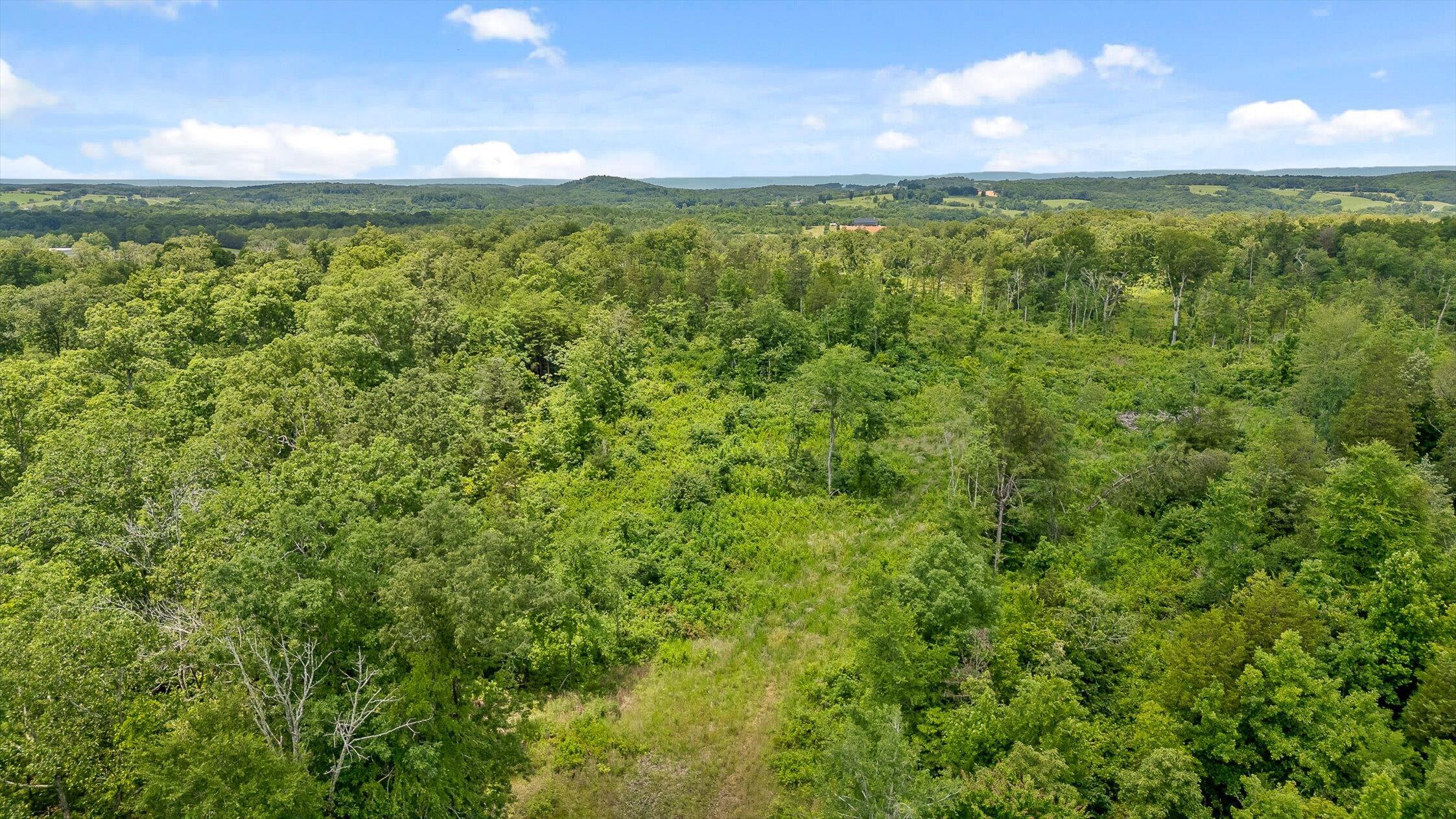 0 State Highway Georgetown, TN 37336 - Photo 10 of 18 05-TN-58-5