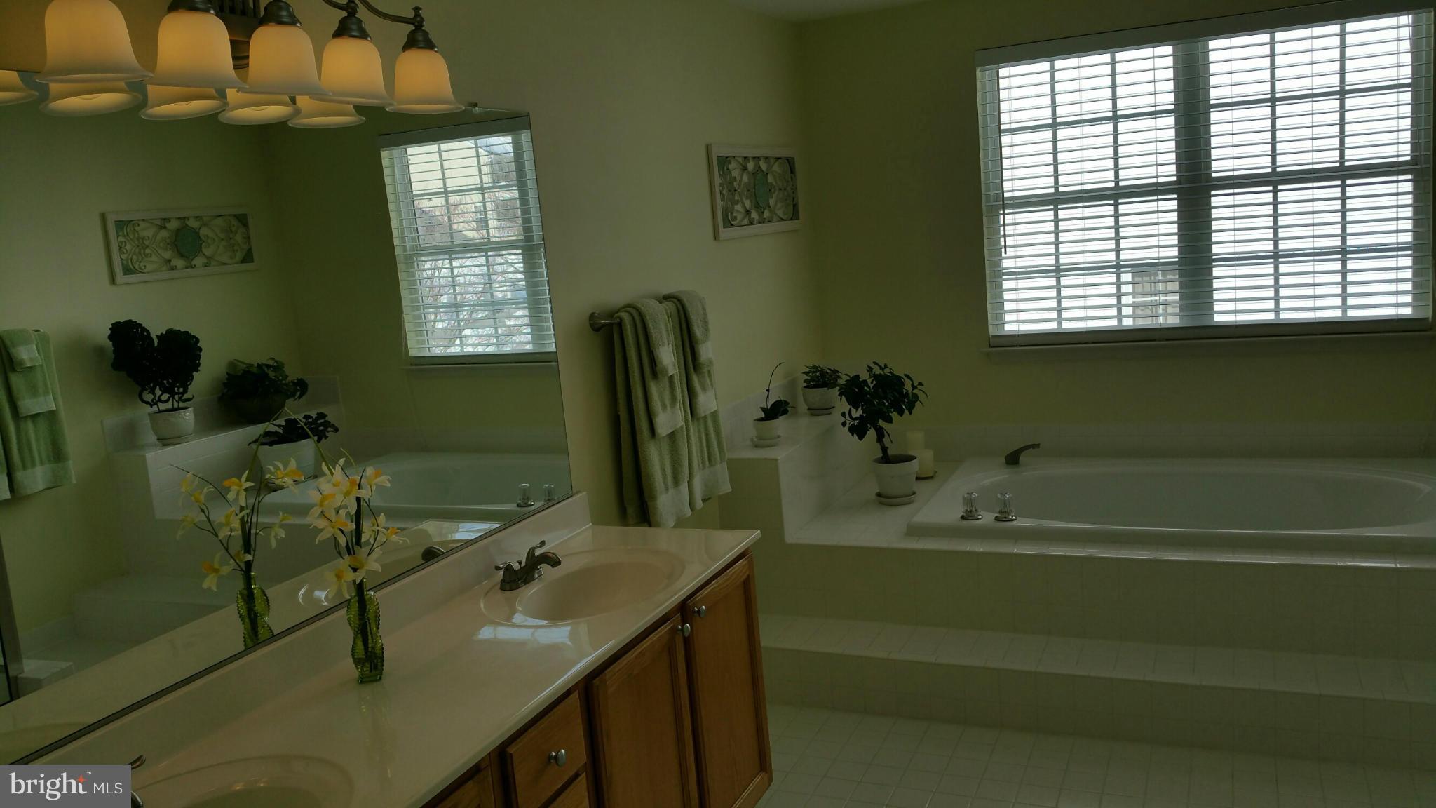 6408 Spring Forest Road Frederick, MD 21701 - Photo 16 of 24 Bath (Master)