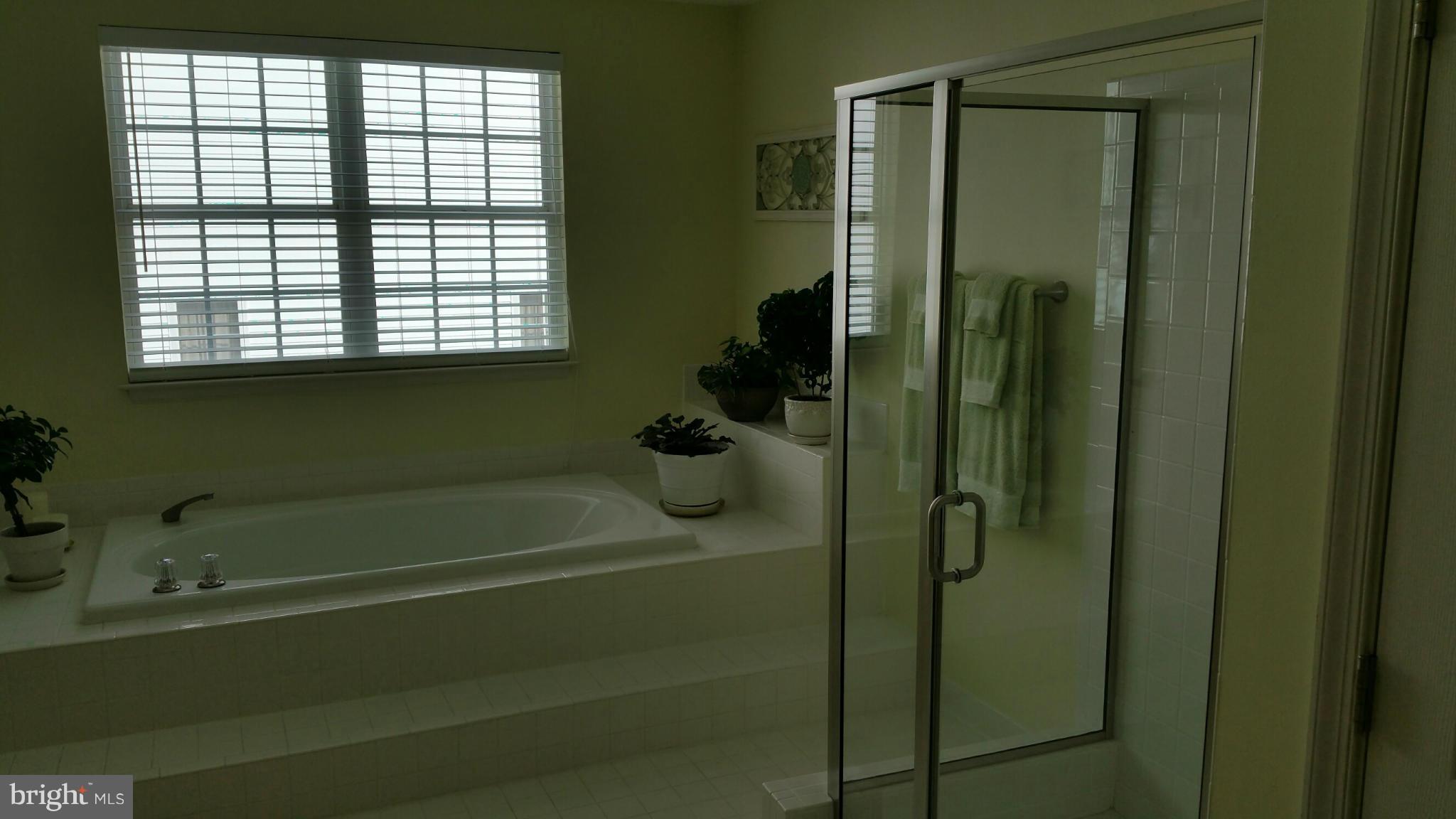 6408 Spring Forest Road Frederick, MD 21701 - Photo 17 of 24 Bath (Master)