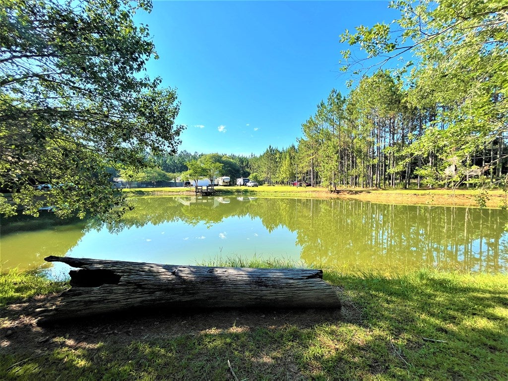 5800 Shiloh Road Hahira, GA 31632 - Photo 35 of 36 Gallery Image 35