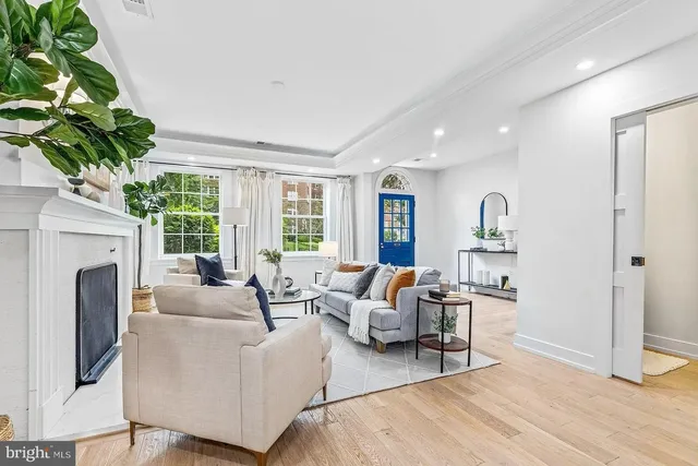 a living room with furniture a fireplace and a potted plant