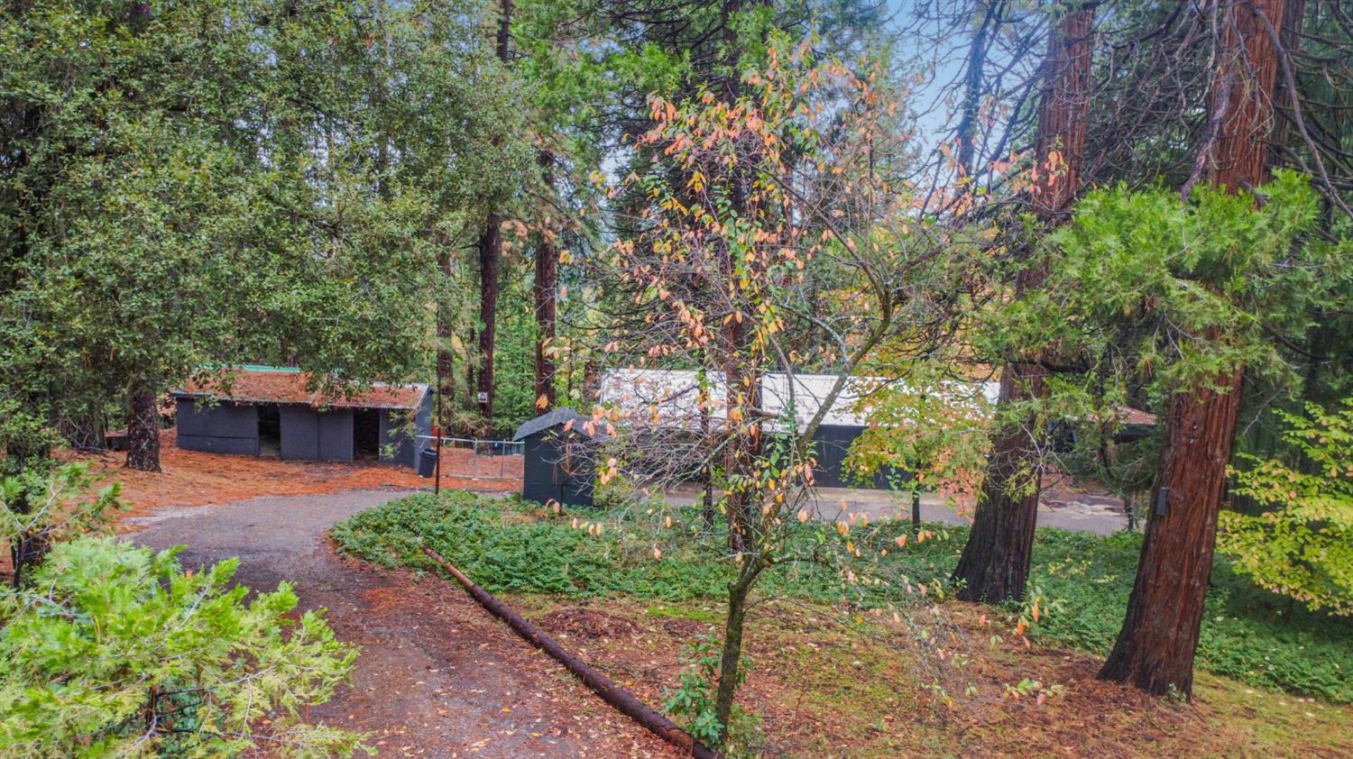 19159 Allan Road Volcano, CA 95689 - Photo 19 of 27 a view of a back yard