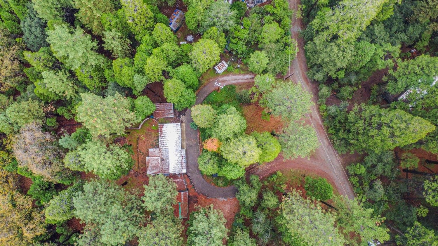 19159 Allan Road Volcano, CA 95689 - Photo 20 of 27 an aerial view of residential house with outdoor space and trees all around