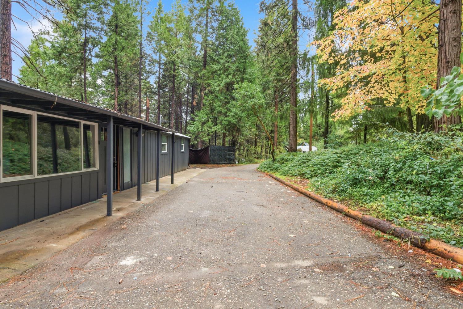 19159 Allan Road Volcano, CA 95689 - Photo 2 of 27 a view of a backyard with green space