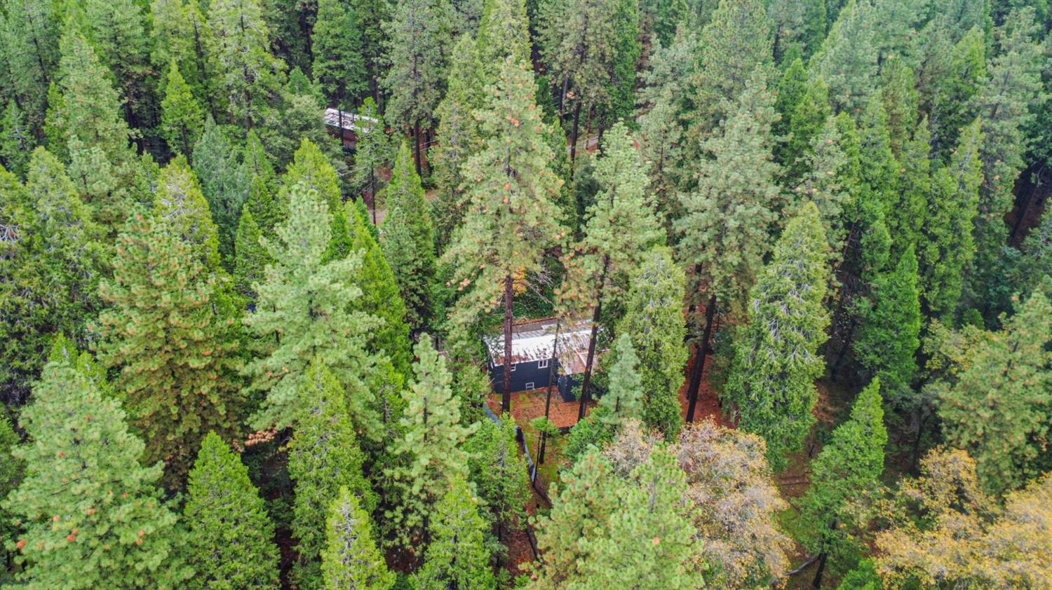 19159 Allan Road Volcano, CA 95689 - Photo 21 of 27 a aerial view of a house with a yard