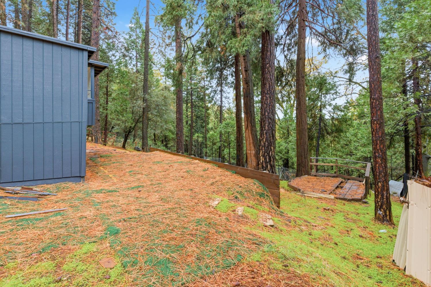 19159 Allan Road Volcano, CA 95689 - Photo 25 of 27 a view of backyard with green space