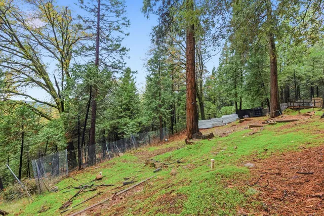 $289,000 | 19159 Allan Road, Volcano, CA 95689
