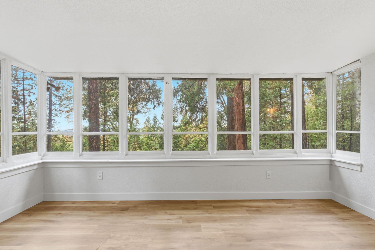 19159 Allan Road Volcano, CA 95689 - Photo 6 of 27 a view of an empty room with a window