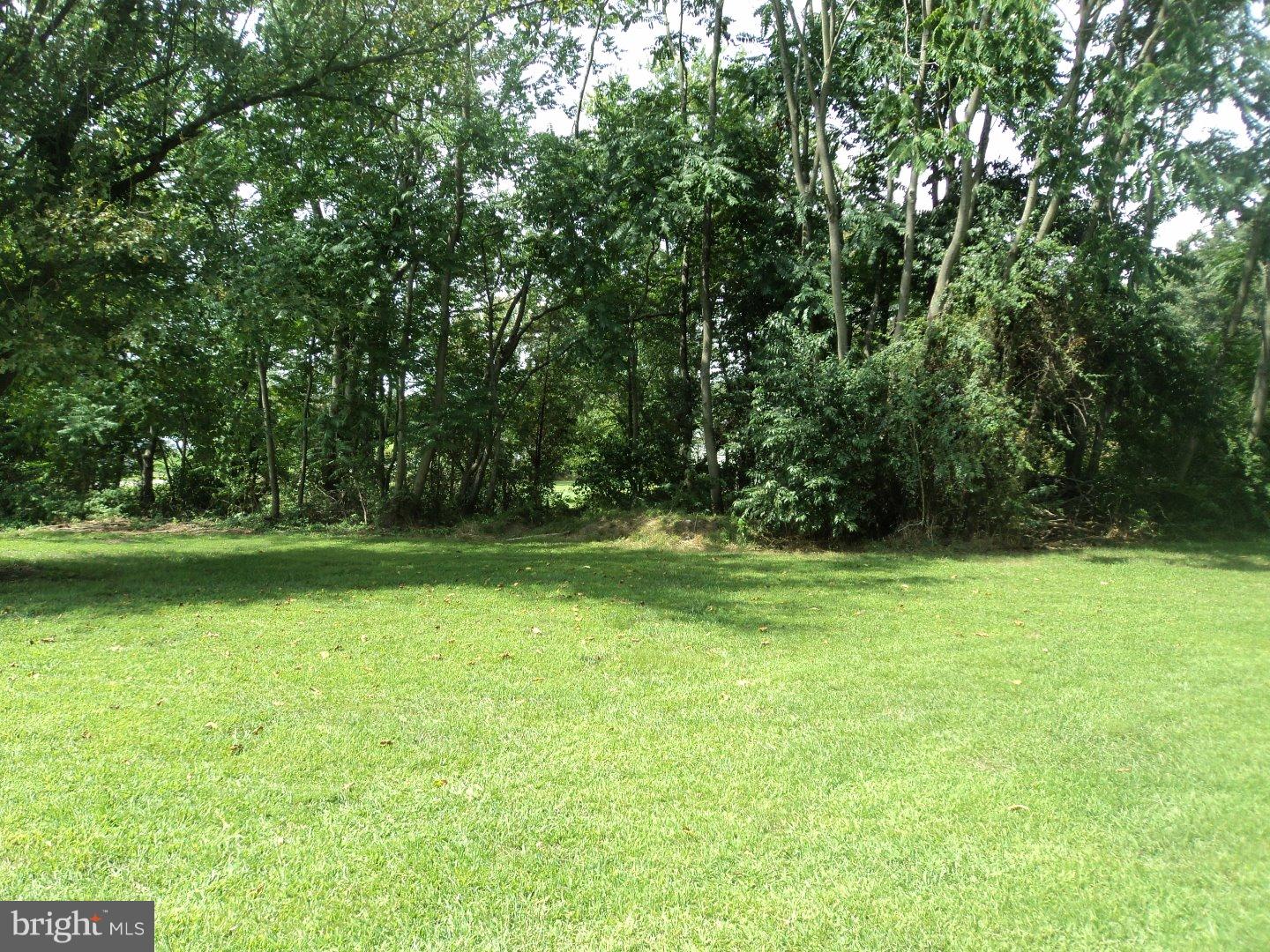 4367 Halltown Road Hartly, DE 19953 - Photo 18 of 20 Back Yard