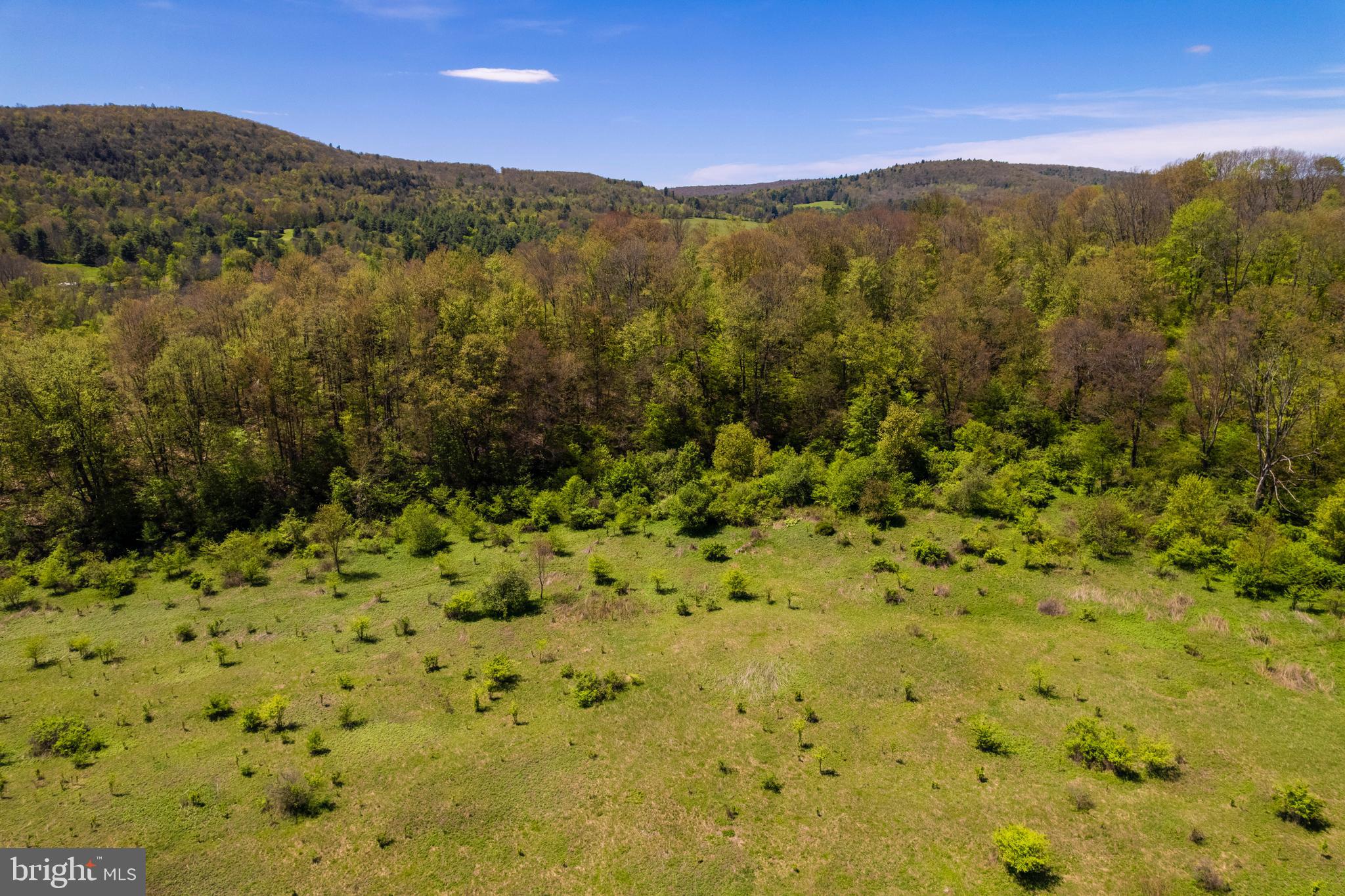 0 State Line Road Susquehanna, PA 18847 - Photo 64 of 96