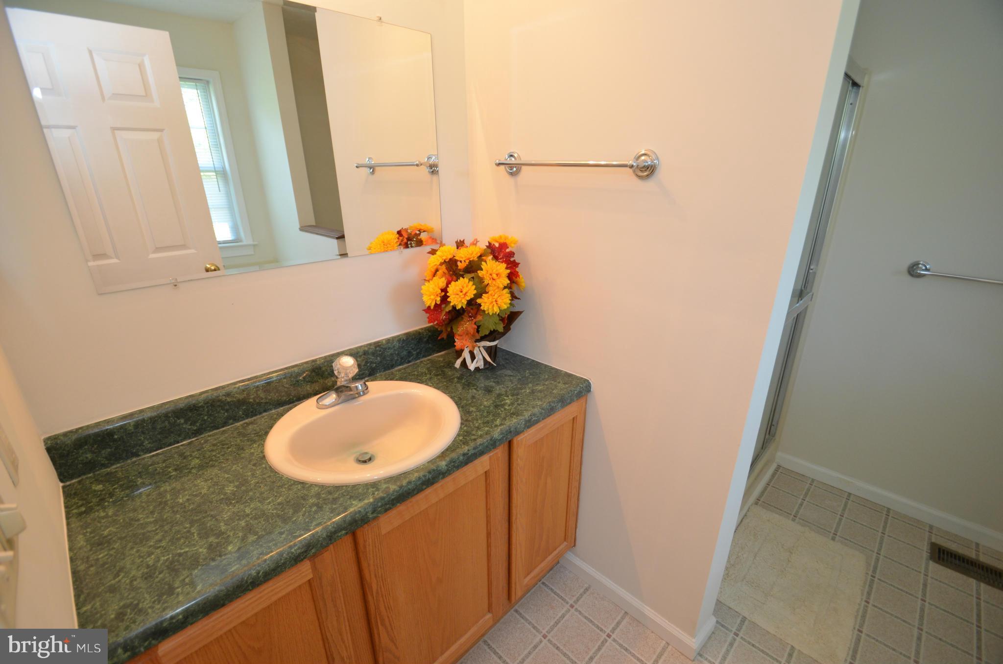 5823 Blue Ridge Road Mineral, VA 23117 - Photo 11 of 24 Master Bath
