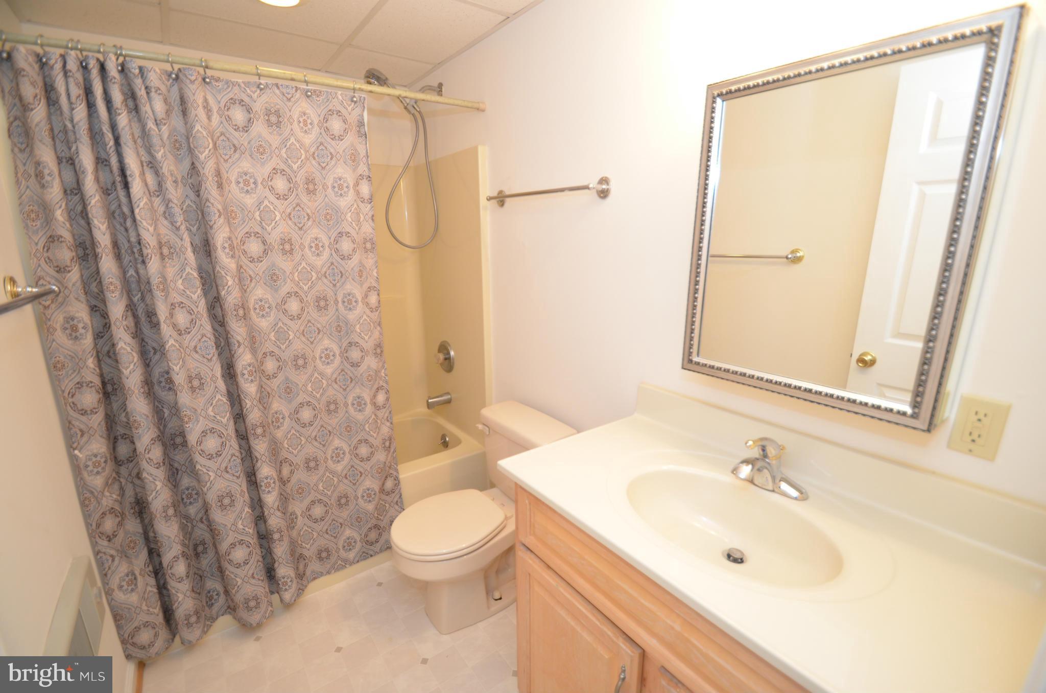 5823 Blue Ridge Road Mineral, VA 23117 - Photo 8 of 24 Lower Bath